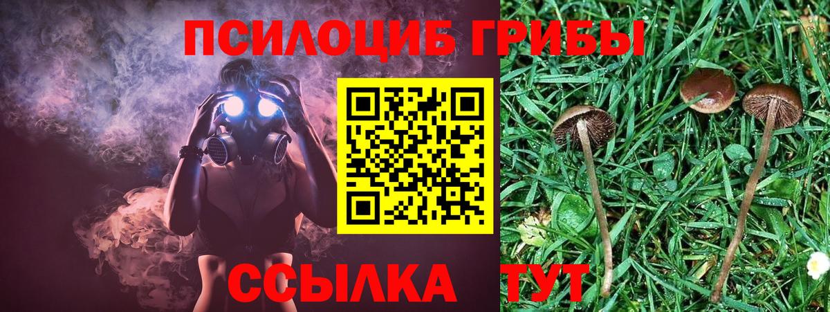 Псилоцибиновые грибы Psilocybine cubensis  Вход с VPN  что такое наркотик  Борисоглебск 