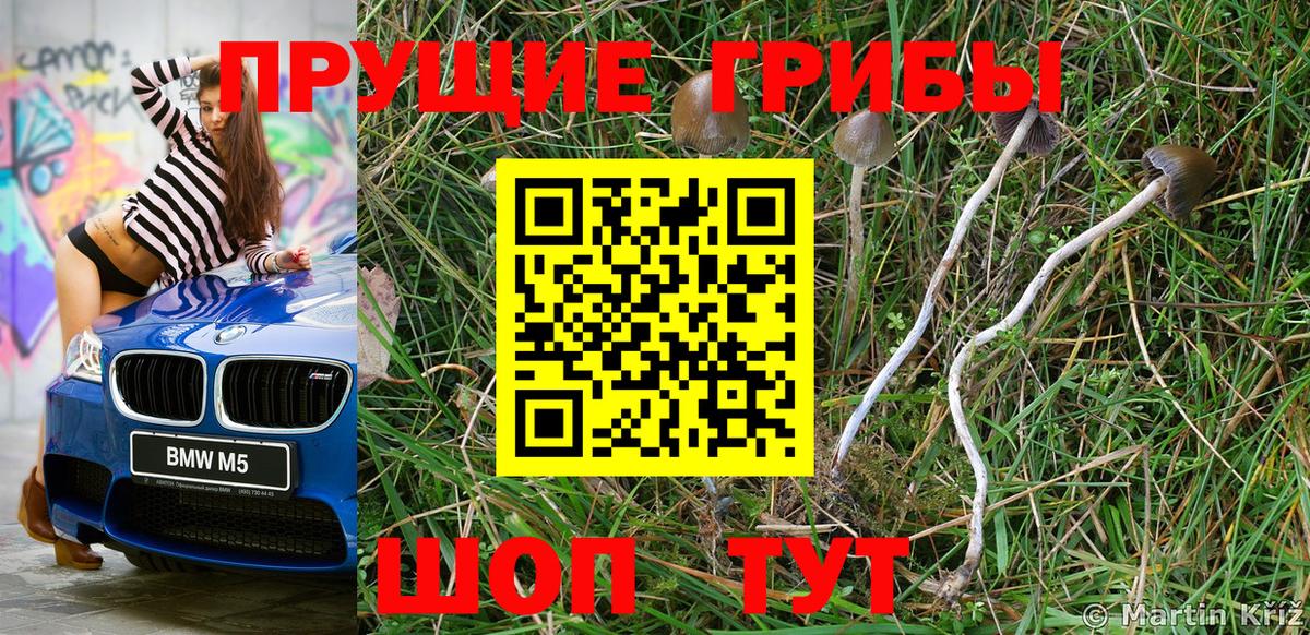 Галлюциногенные грибы Cubensis Борисоглебск